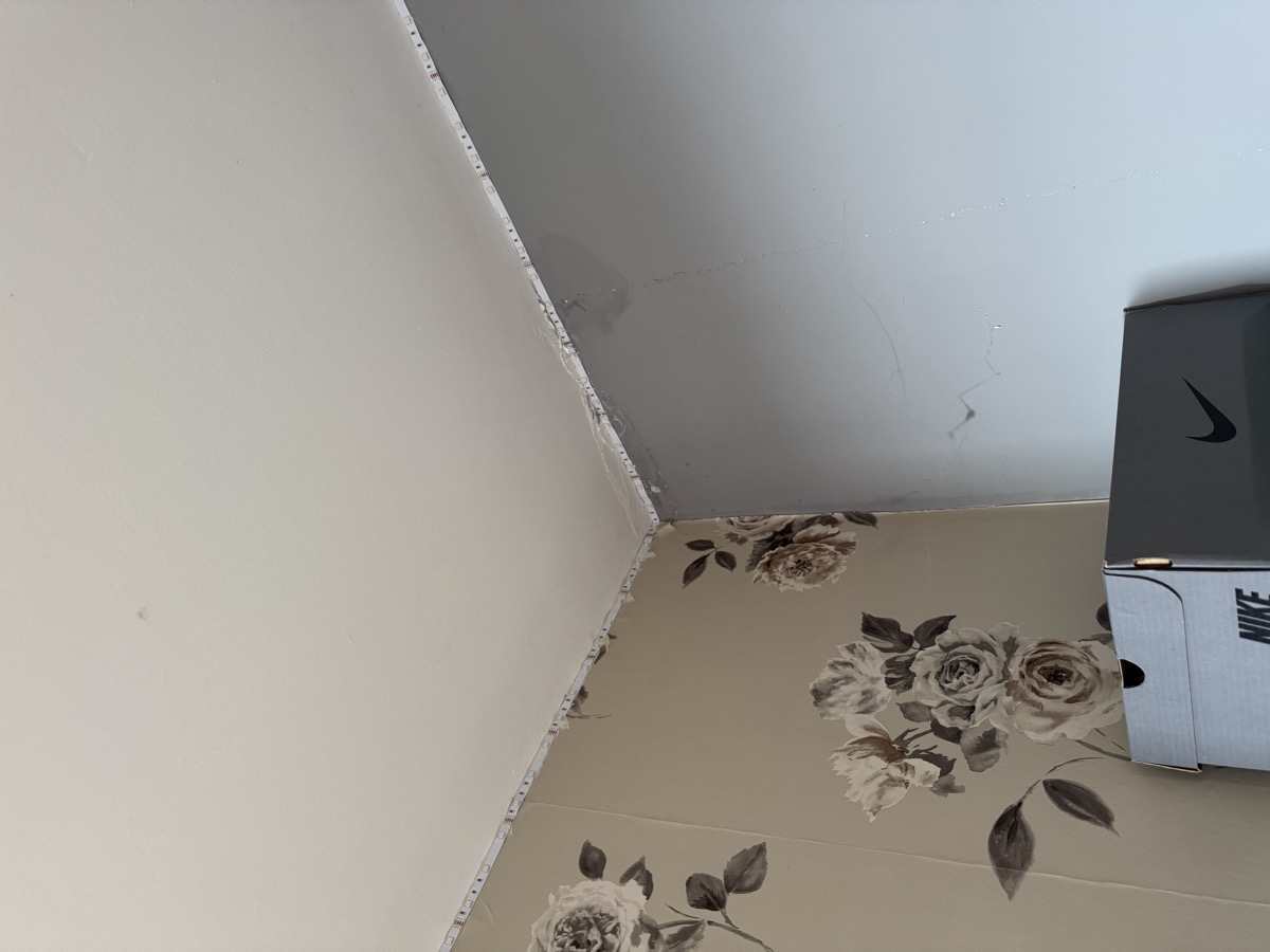 Damp damage in bedroom from chimney leak